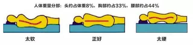 选择好的床垫，打造健康舒适亚洲香蕉在线播放AV蜜桃！(图4)